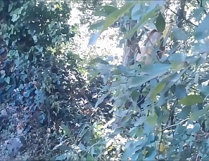 061516_hot_pov_blowjob_and_sex_with_hot_blonde_girlfriend_public_forest_and_back_at_home_cum_on_face